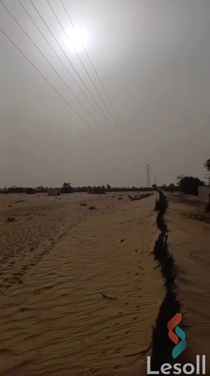 Agricultural Land for Sale in Wadi El Natrun 15 Feddans Ready for Investment Agricultural Land for Sale in Wadi El Natrun 15 Feddans Ready for Investment