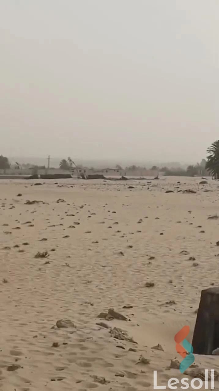 Agricultural Land for Sale in Wadi El Natrun 15 Feddans Ready for Investment - Image 4