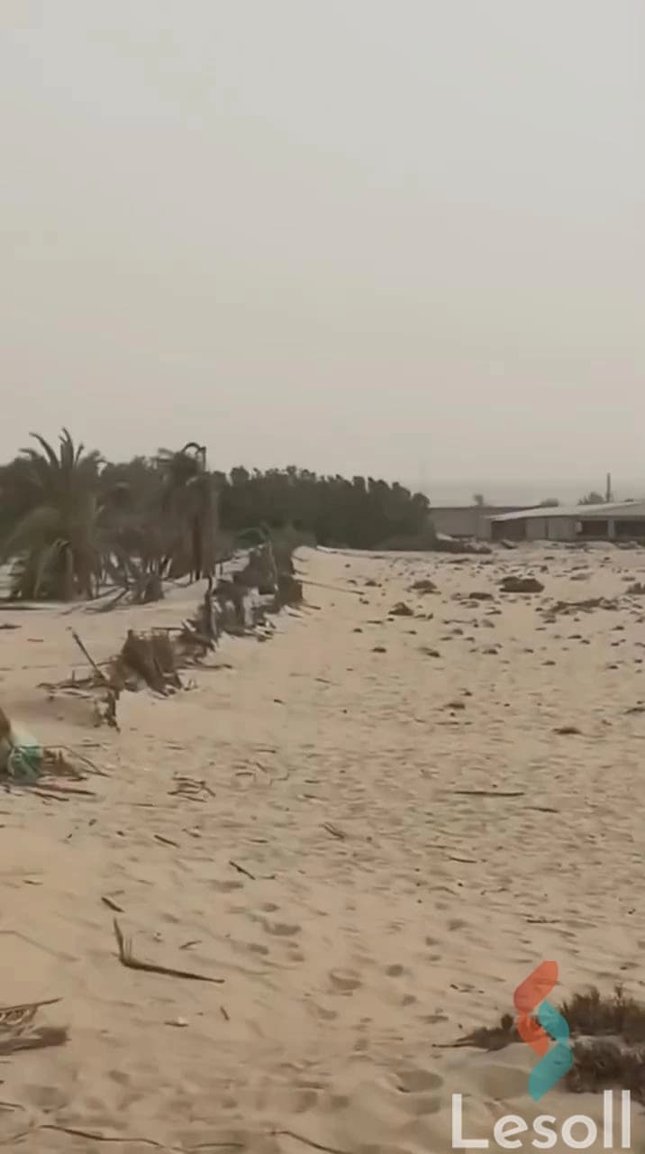 Agricultural Land for Sale in Wadi El Natrun 15 Feddans Ready for Investment - Image 2