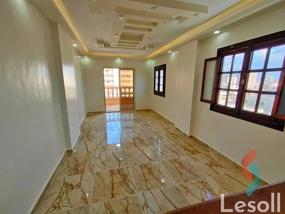 شقه للبيع فى اسكندرية الكيلو 21 النخيل 2 تانى نمرة من البحر مسجله - صورة 2