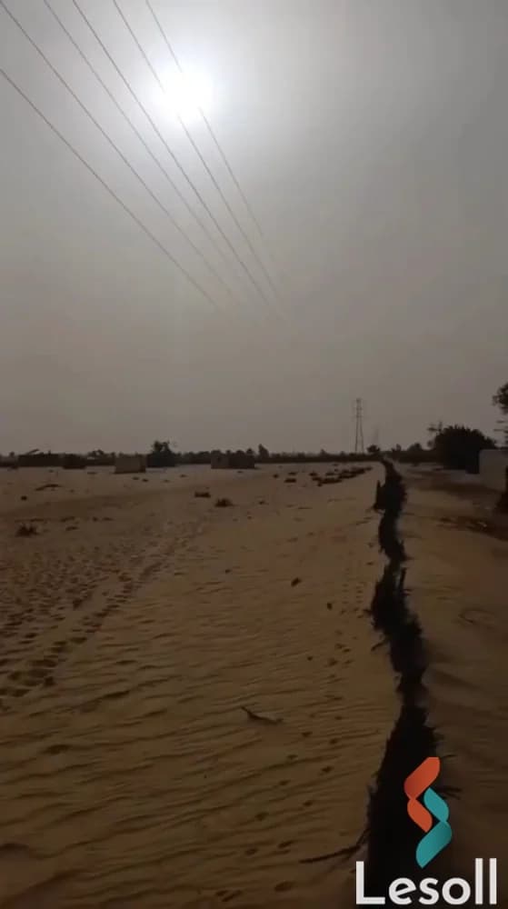 Agricultural Land for Sale in Wadi El Natrun 15 Feddans Ready for Investment - All Images