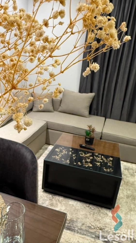 Furnished Apartment for Daily Rent in Madinaty B8 | 2 Bedrooms and Hotel-Style Comfort - Image 4