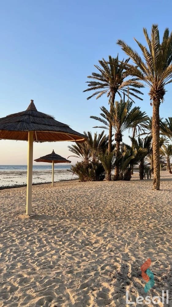 شاليه مفروش هاي سوبر لوكس للايجار بالساحل الشمالي بسعر لقطة بمبلغ 1500 جنيه يوميا شاليه مفروش هاي سوبر لوكس للايجار بالساحل الشمالي بسعر لقطة بمبلغ 1500 جنيه يوميا