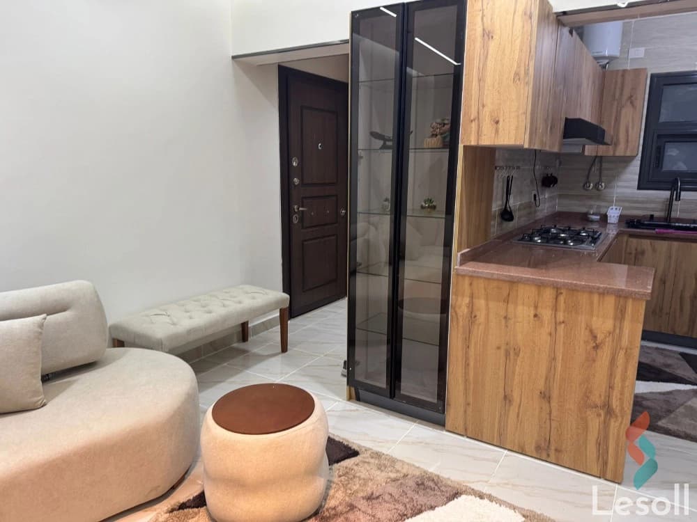 Brand-New Fully Furnished Hotel Apartment for Daily or Monthly Rent in Madinaty – B15 Phase - All Images