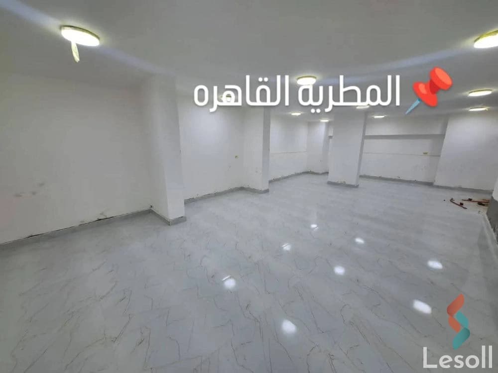 بدروم مرخص تجاري مساحه 180م صافي 160م عماره علي شارع عمومي بناء حديث حصه في الارض بدروم مرخص تجاري مساحه 180م صافي 160م عماره علي شارع عمومي بناء حديث حصه في الارض