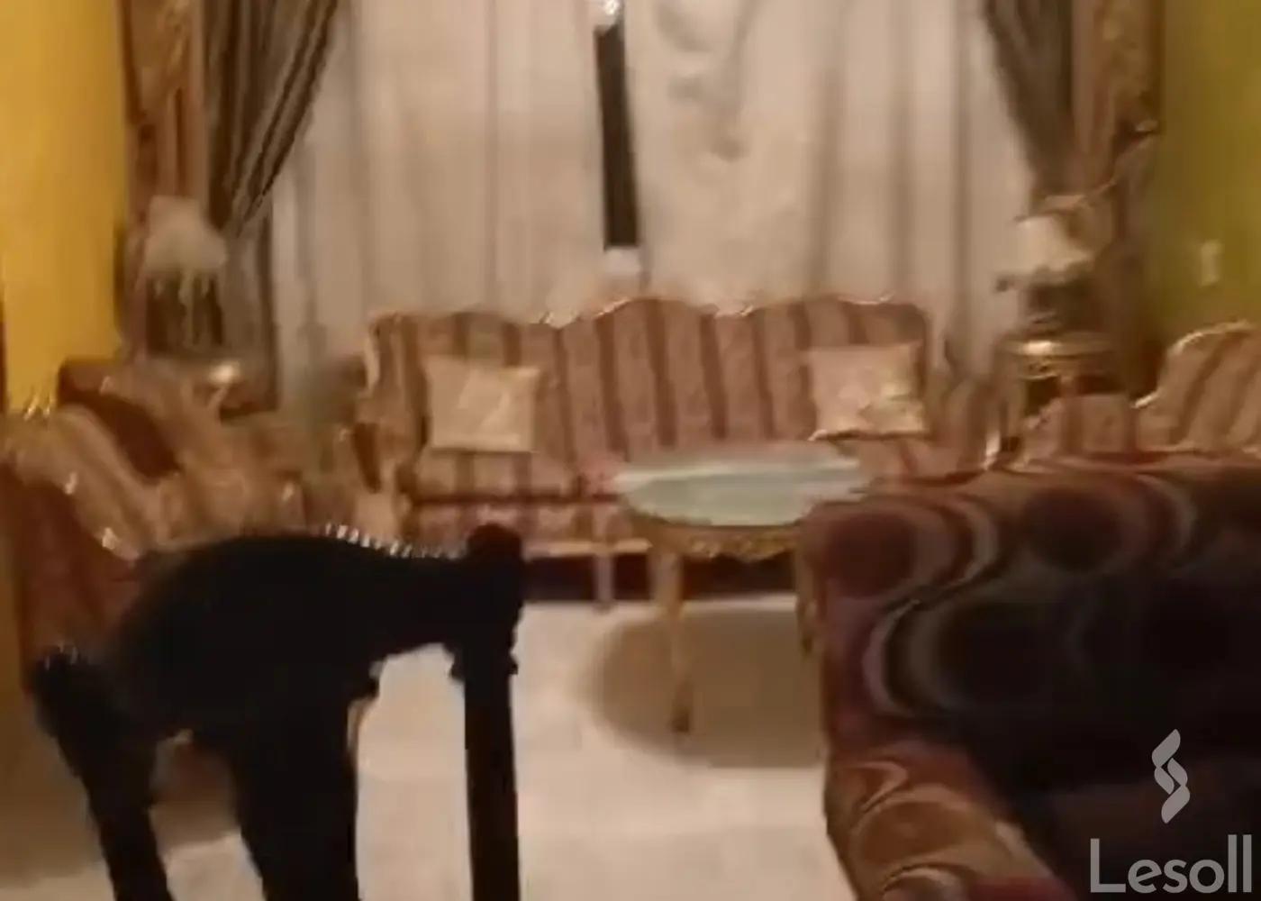 Apartment for sale with an data.area 200 meters and 3 data.rooms in Nasr City Cairo Apartment for sale with an data.area 200 meters and 3 data.rooms in Nasr City Cairo