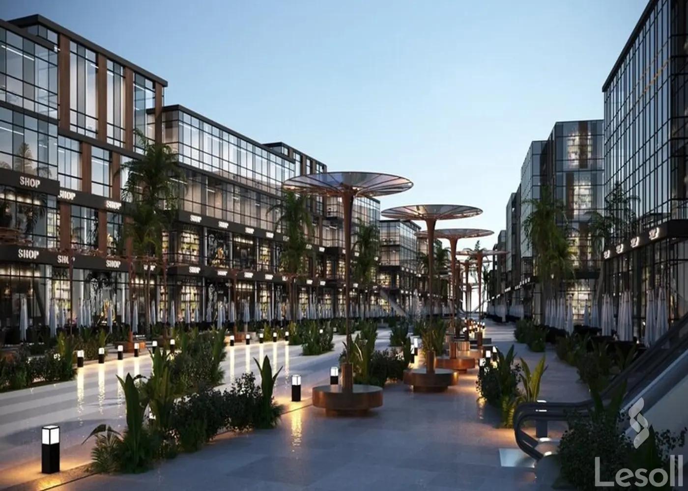 Clinic for sale with an area of 80 meters in Cheikh Zayed Giza