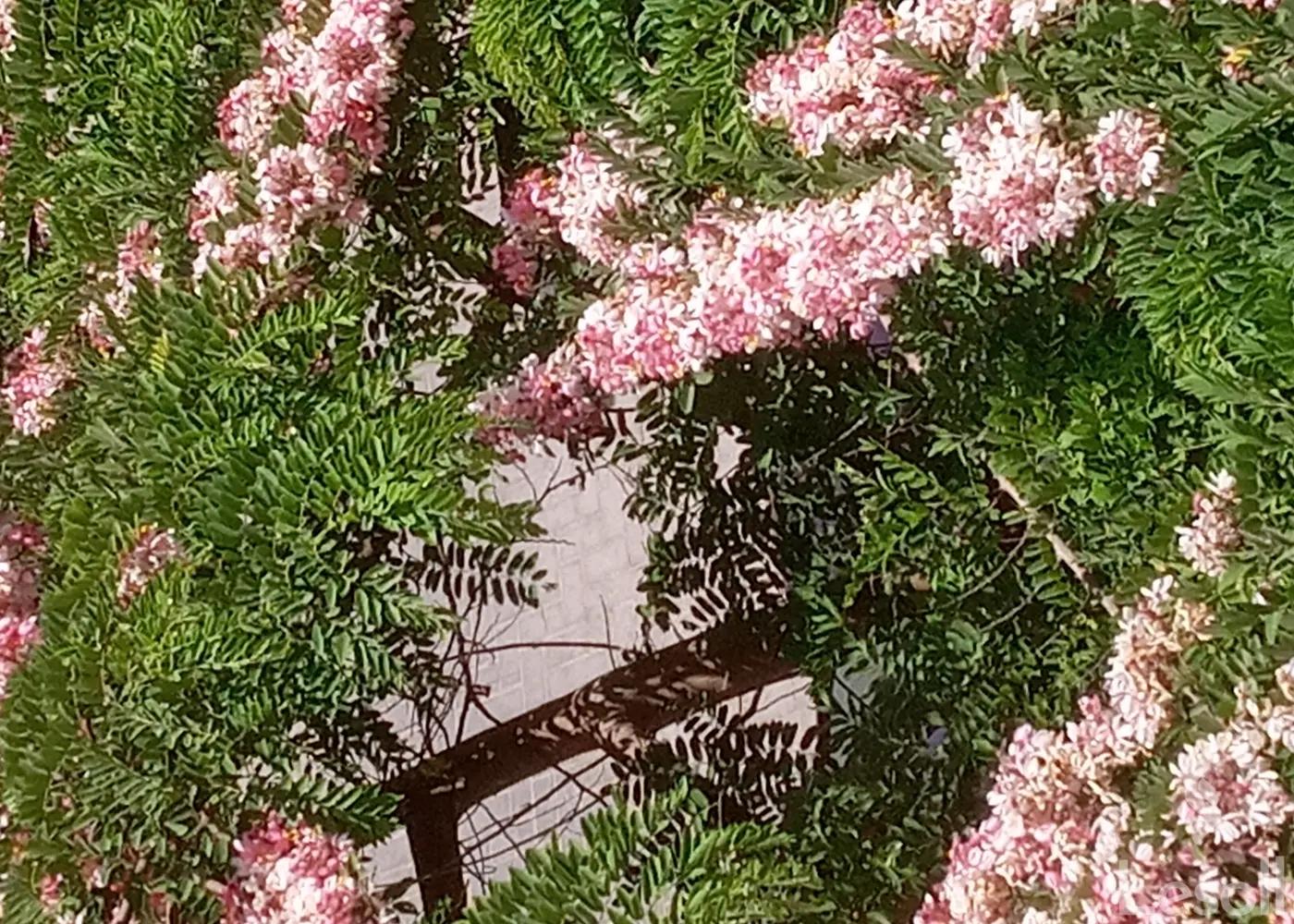 Land building for sale with an area of 2000 meters in El Salam Cairo