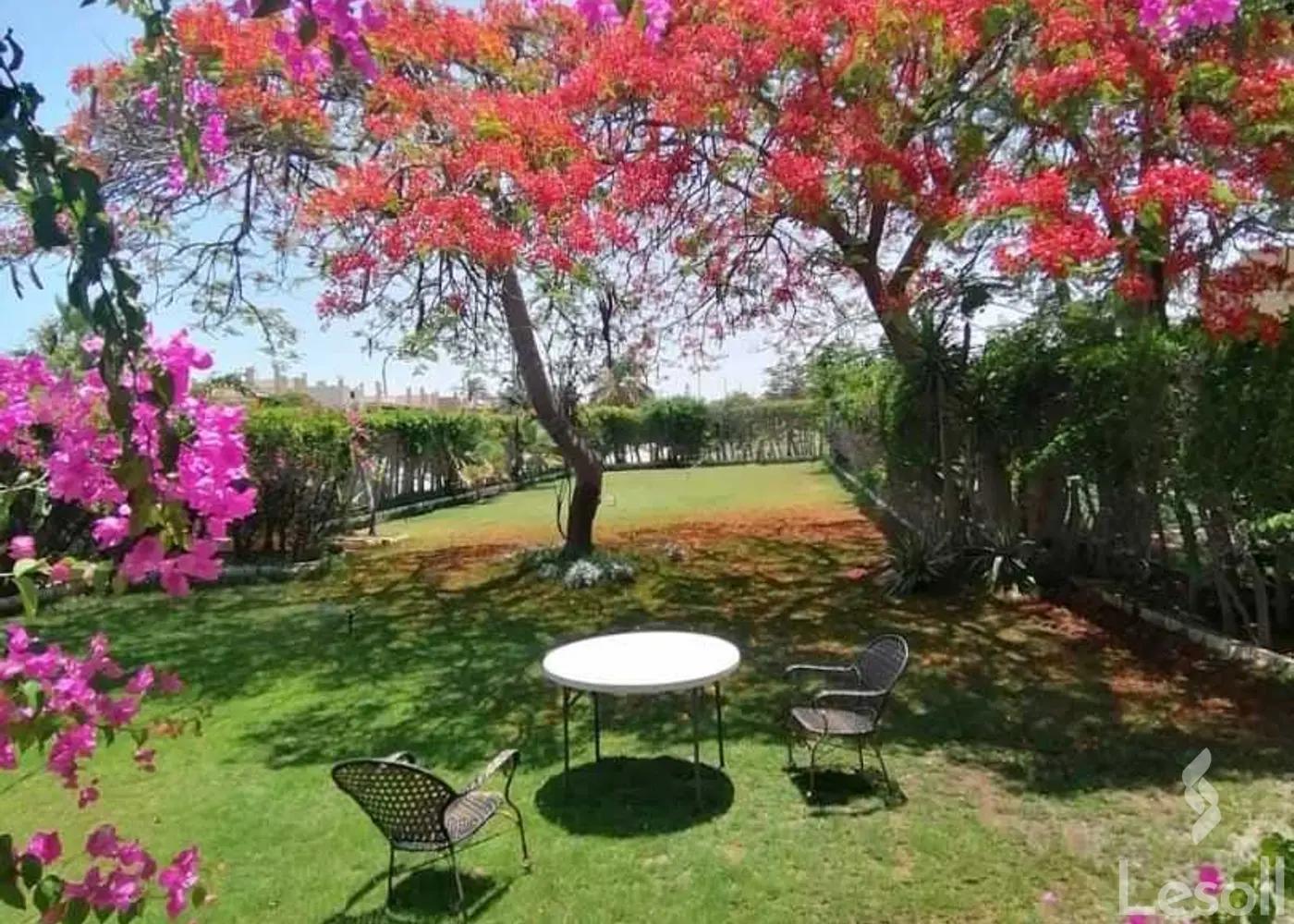 Duplex for sale with an data.area 700 meters and 5 data.rooms in Alamein Matrouh