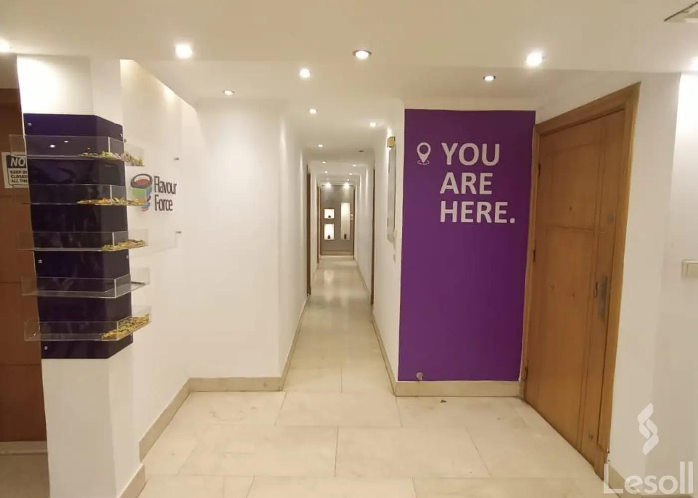 شقة للبيع بمساحة 250 متر و 4 غرف في مصر الجديدة القاهرة - صورة 3