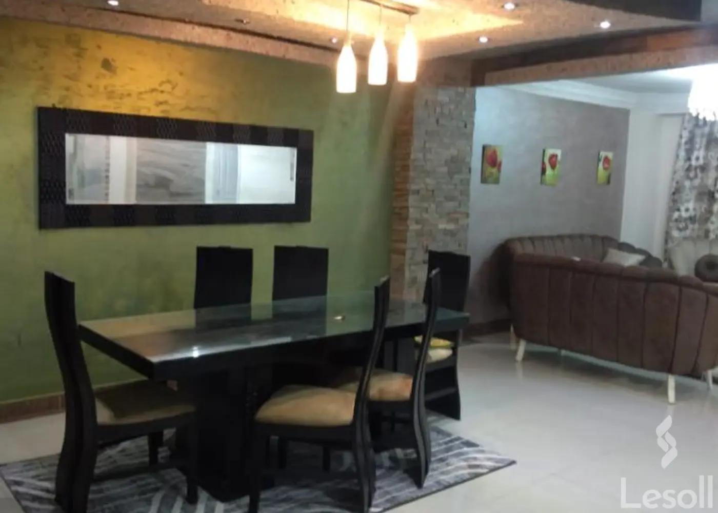 شقة للايجار الشهري بمساحة 250 متر و غرفتان في مدينة نصر القاهرة شقة للايجار الشهري بمساحة 250 متر و غرفتان في مدينة نصر القاهرة