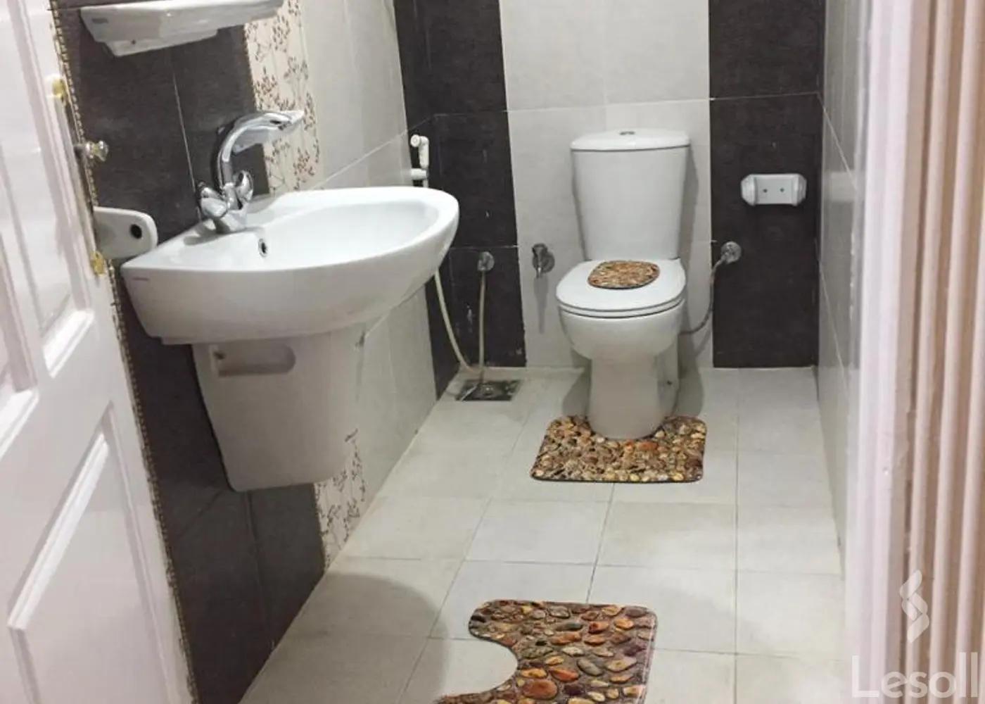 شقة للايجار الشهري بمساحة 250 متر و غرفتان في مدينة نصر القاهرة - صورة 2