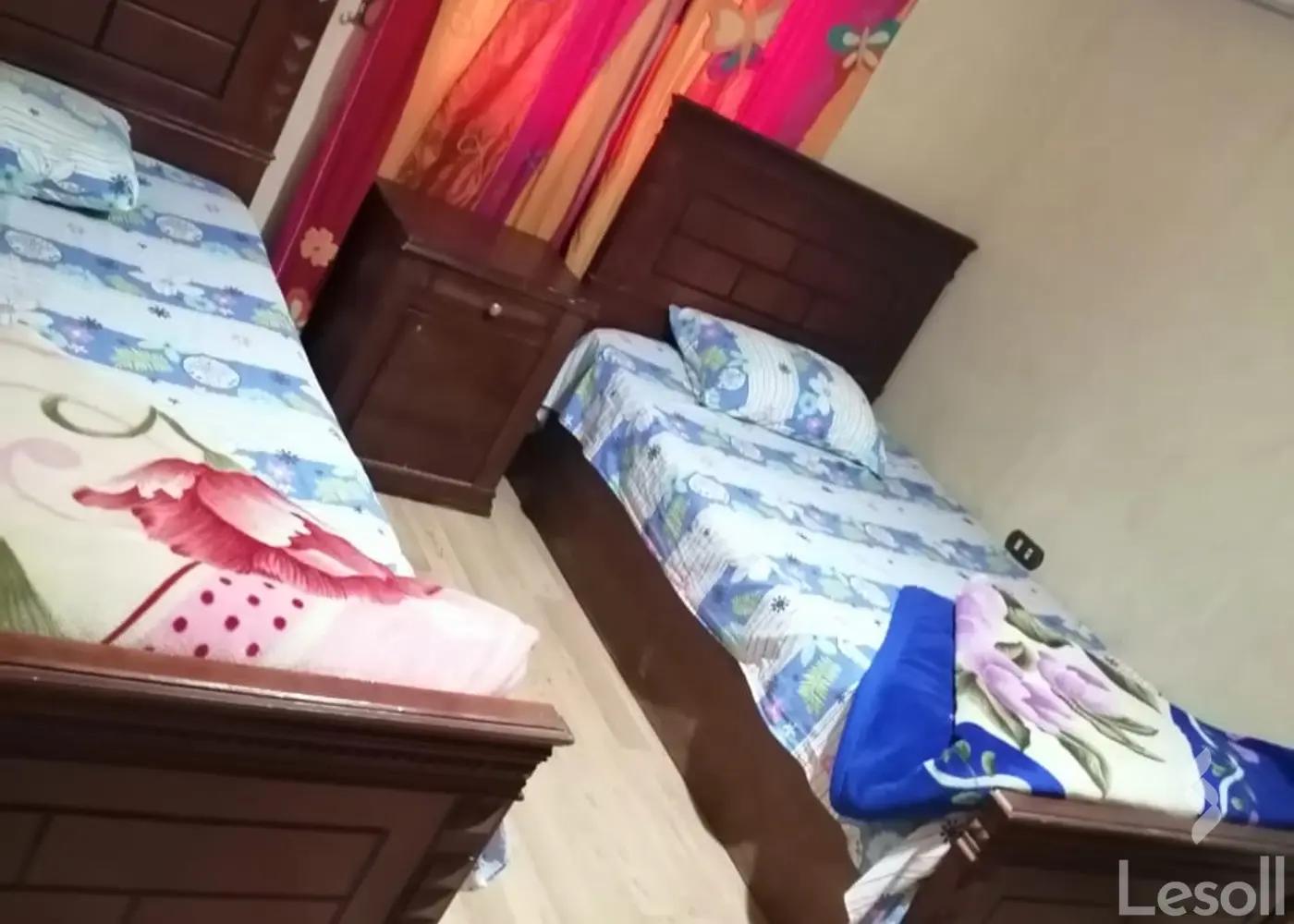 شقة للايجار الشهري بمساحة 250 متر و غرفتان في مدينة نصر القاهرة - كل الصور