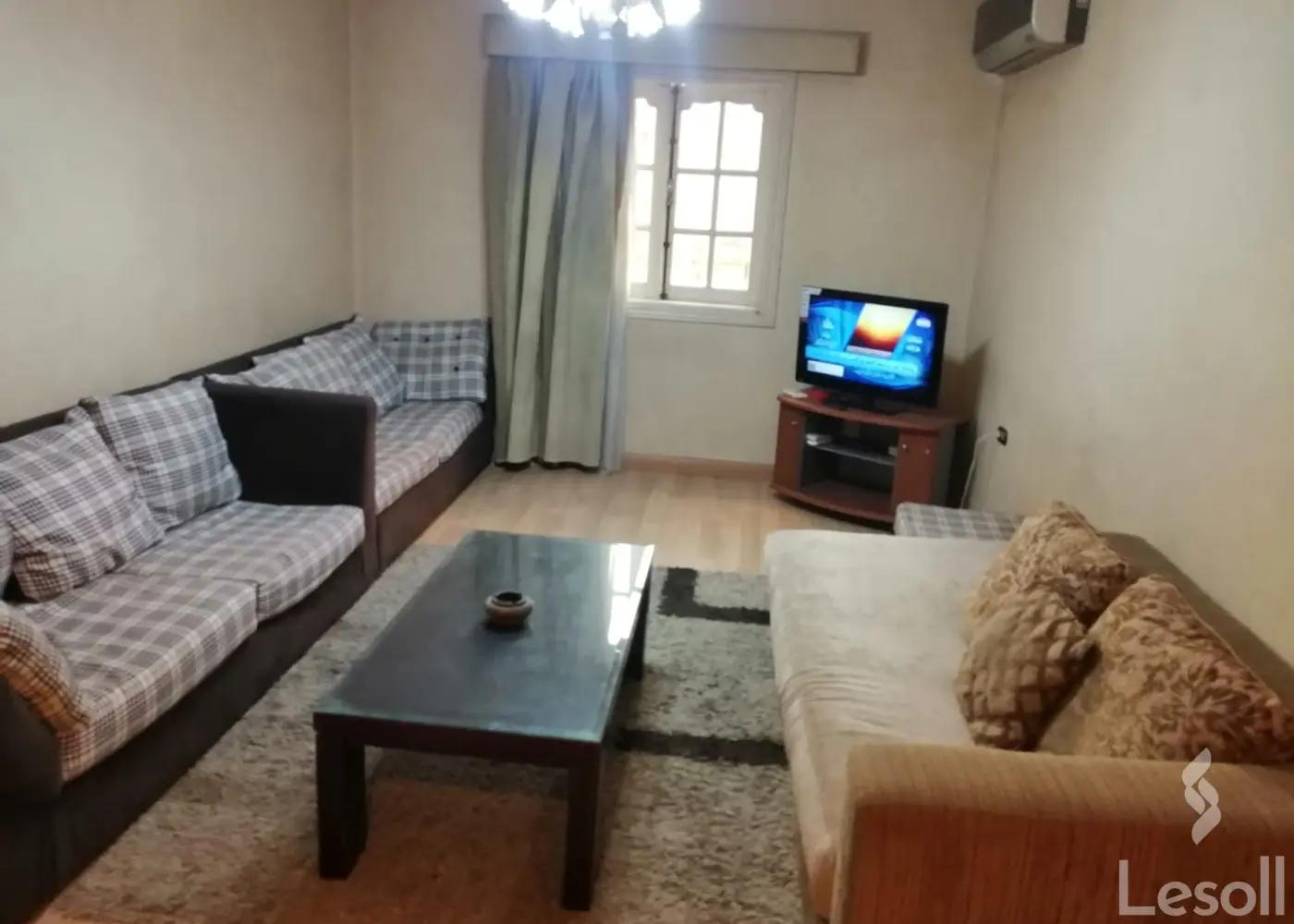 شقة للايجار الشهري بمساحة 250 متر و غرفتان في مدينة نصر القاهرة - صورة 3