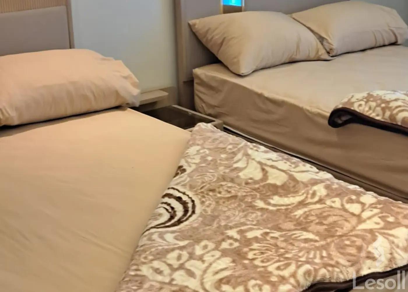 شقة للايجار الشهري بمساحة 250 متر و 3 غرف في مدينة نصر القاهرة - صورة 3