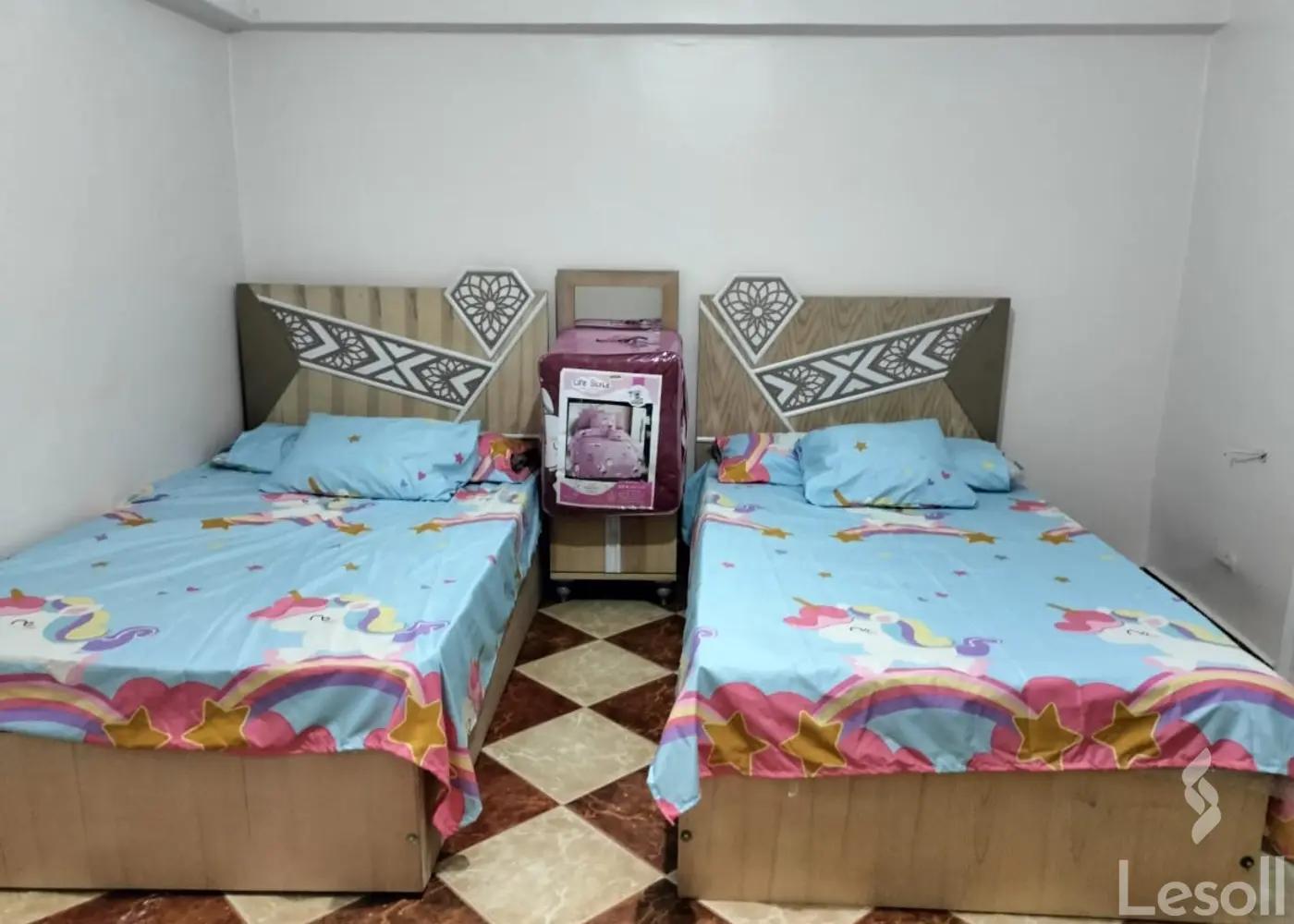 شقة للايجار الشهري بمساحة 250 متر و 3 غرف في مدينة نصر القاهرة - كل الصور