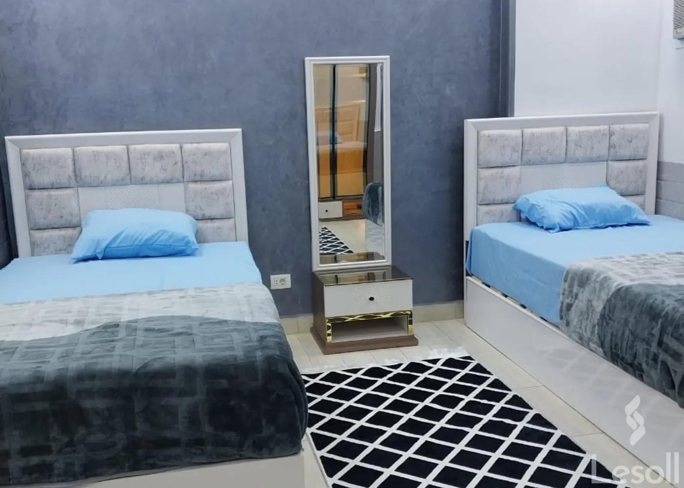 شقة للايجار الشهري بمساحة 250 متر و 3 غرف في مدينة نصر القاهرة - كل الصور