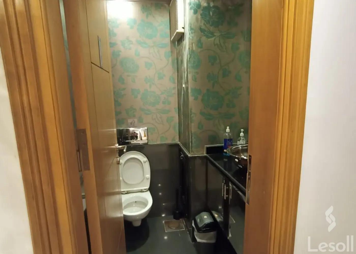 شقة للبيع بمساحة 250 متر و 3 غرف في مصر الجديدة القاهرة - كل الصور