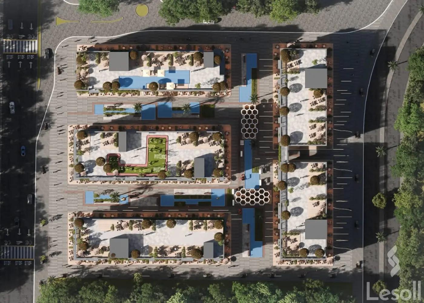 محل للبيع بمساحة 34 متر في الدقهلية - صورة 2