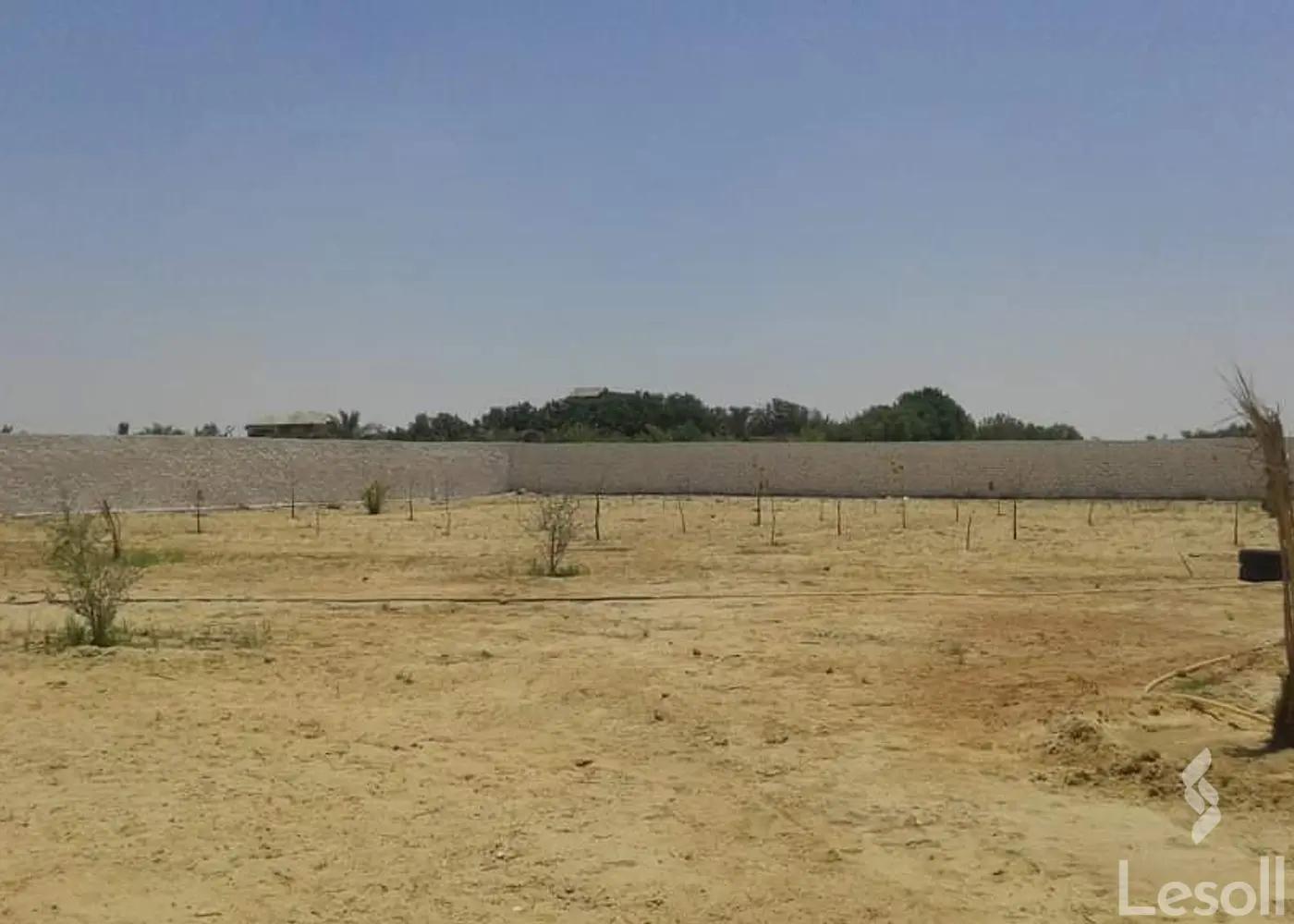 Land building for sale with an area of 2000 meters in Cheikh Zayed Giza