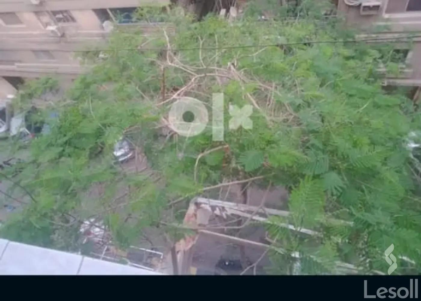 Apartment for yearly rent with an data.area 60 meters and 1 room in Mohandessin Giza Apartment for yearly rent with an data.area 60 meters and 1 room in Mohandessin Giza