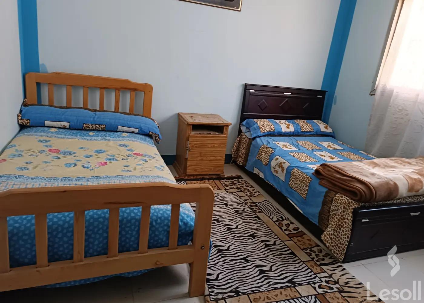 شقة للايجار السنوي بمساحة 100 متر و غرفتان في ارض اللواء الجيزة - صورة 2