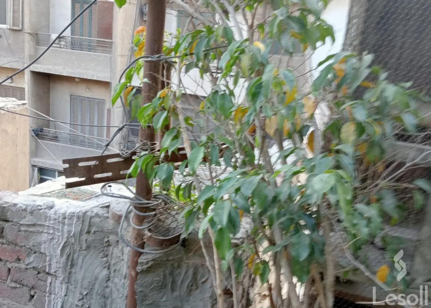 Building for sale with an data.area 217 meters and 2 room in Dokki Giza - Image 4