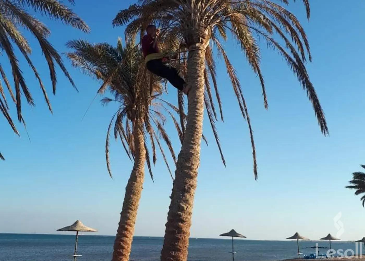 Chalet for sale with an data.area 101 meters and 1 room in Ain Sokhna Suez Chalet for sale with an data.area 101 meters and 1 room in Ain Sokhna Suez