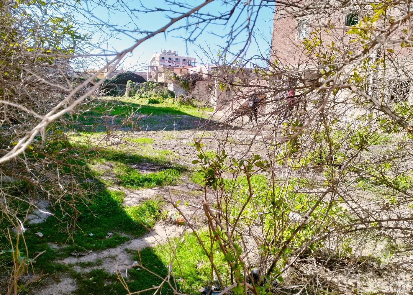 Land building for sale with an area of 1000 meters in Ameria Alexandria