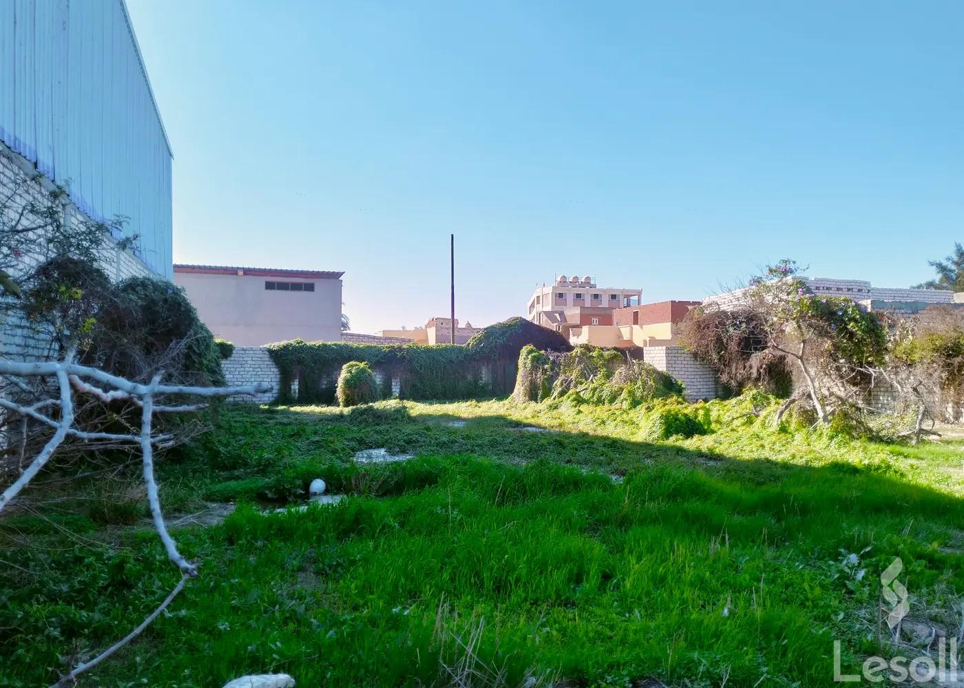 Land building for sale with an area of 1000 meters in Ameria Alexandria
