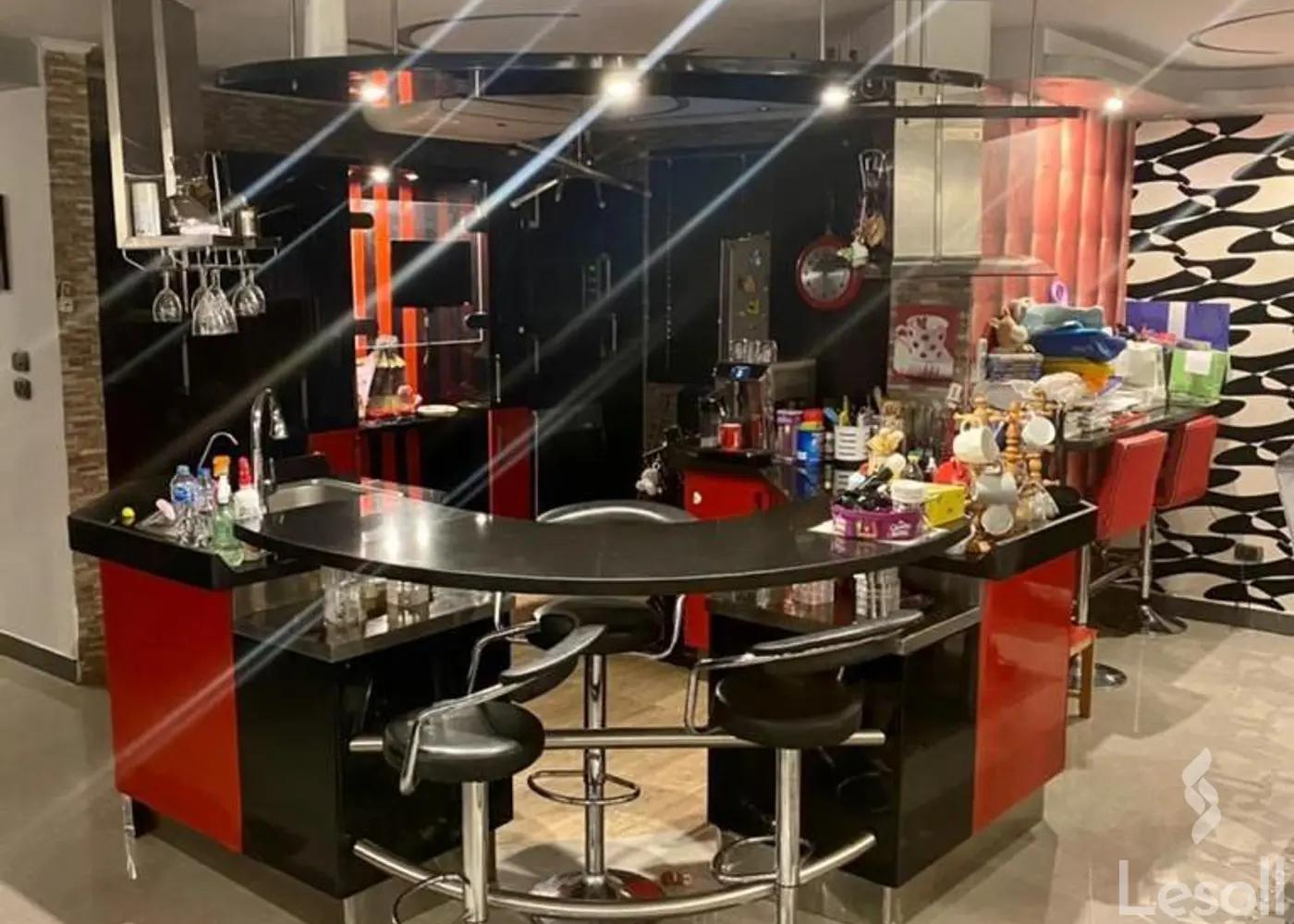 شقة للبيع بمساحة 270 متر و 3 غرف في مدينة نصر القاهرة - صورة 3