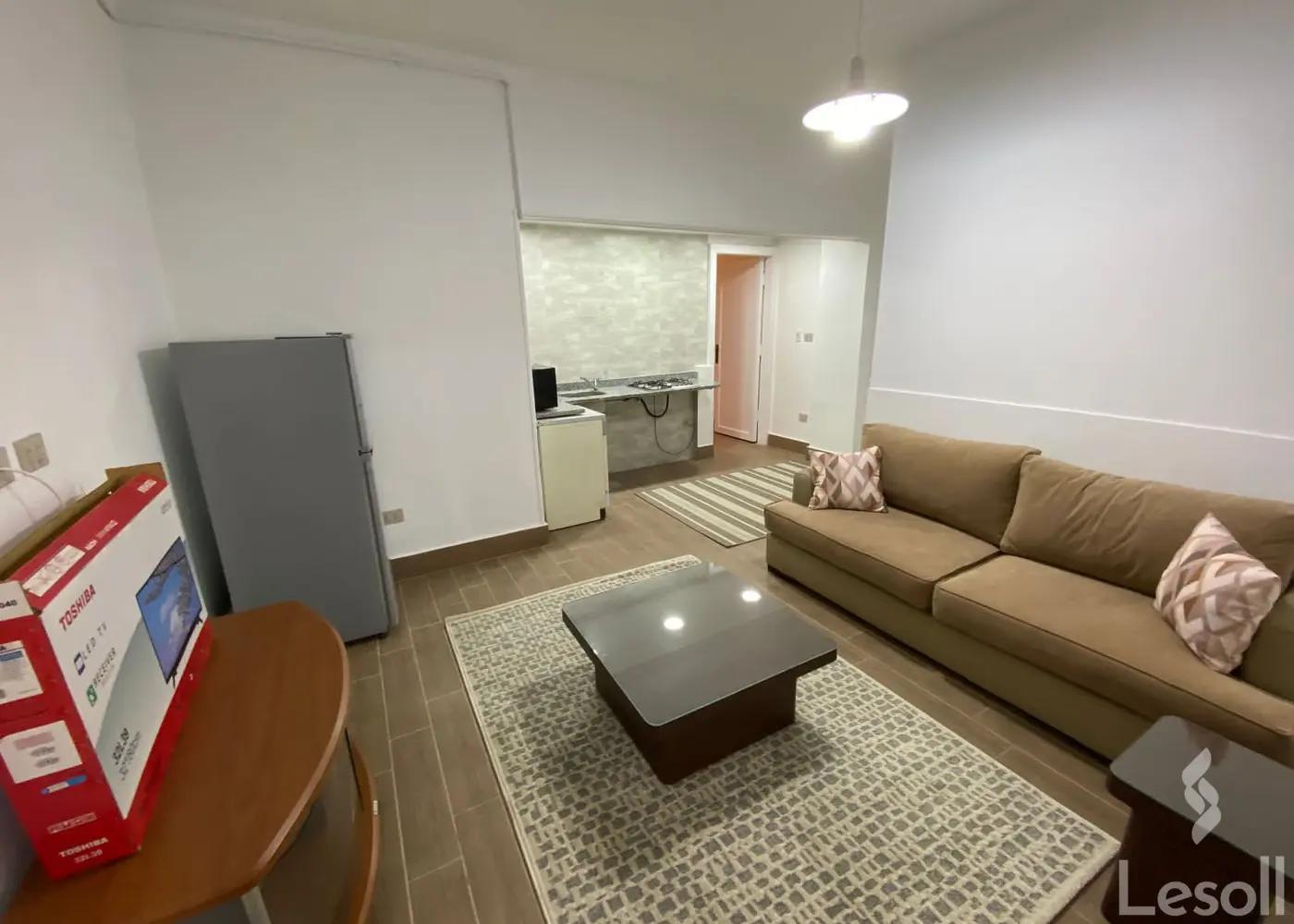 Studio for yearly rent with an data.area 100 meters and 1 room in Zamalek Cairo