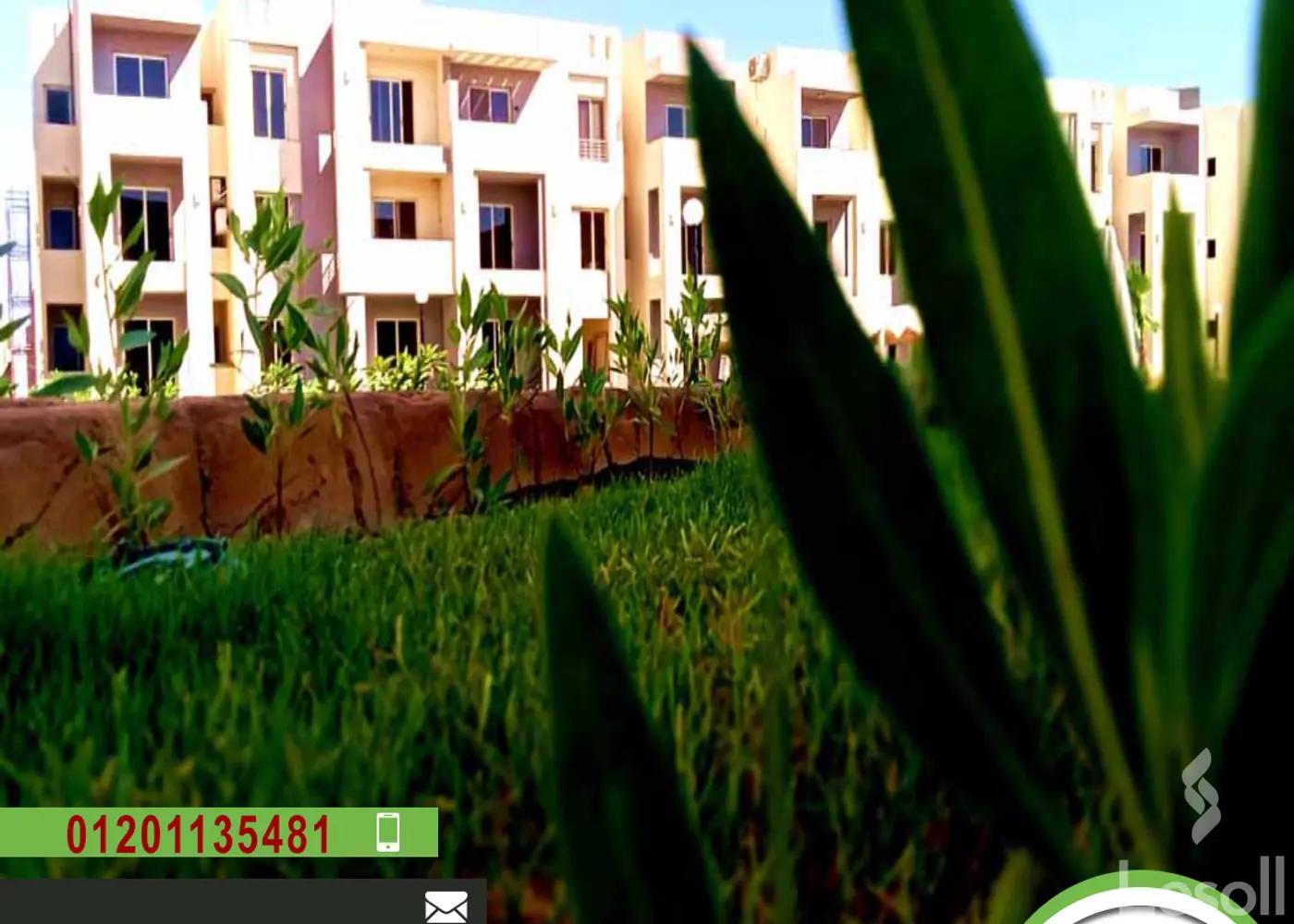 Apartment for sale with an data.area 95 meters and 3 data.rooms in Ras Snumberr South Sinai