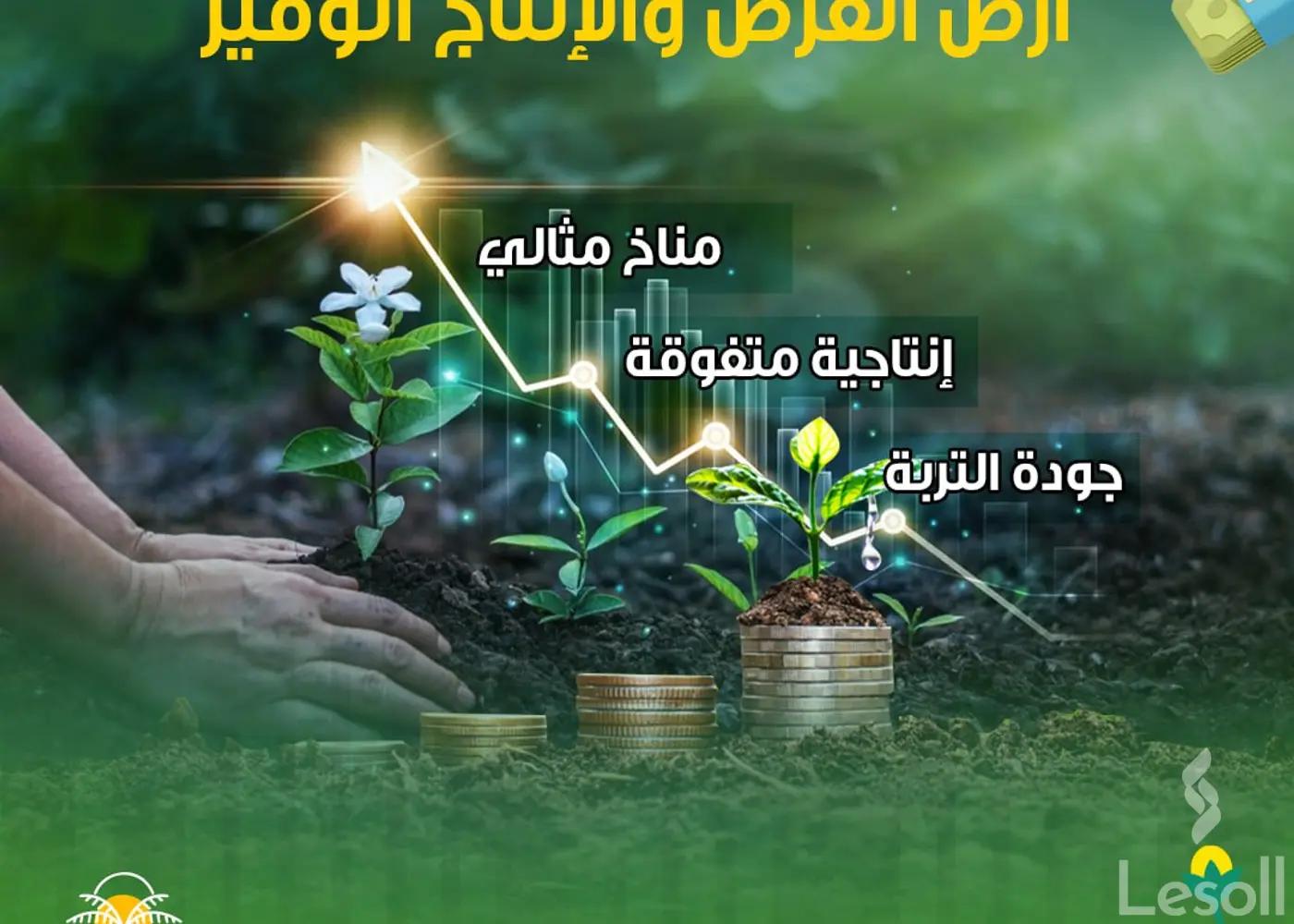 ارض زراعية للبيع بمساحة 5 متر في الواحات البحرية الجيزة