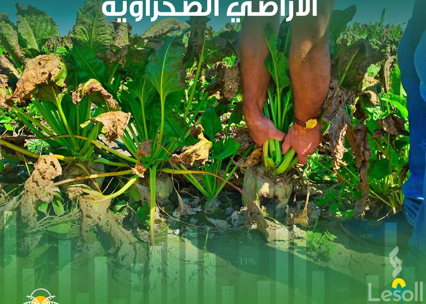 ارض زراعية للبيع بمساحة 5 متر في الواحات البحرية الجيزة