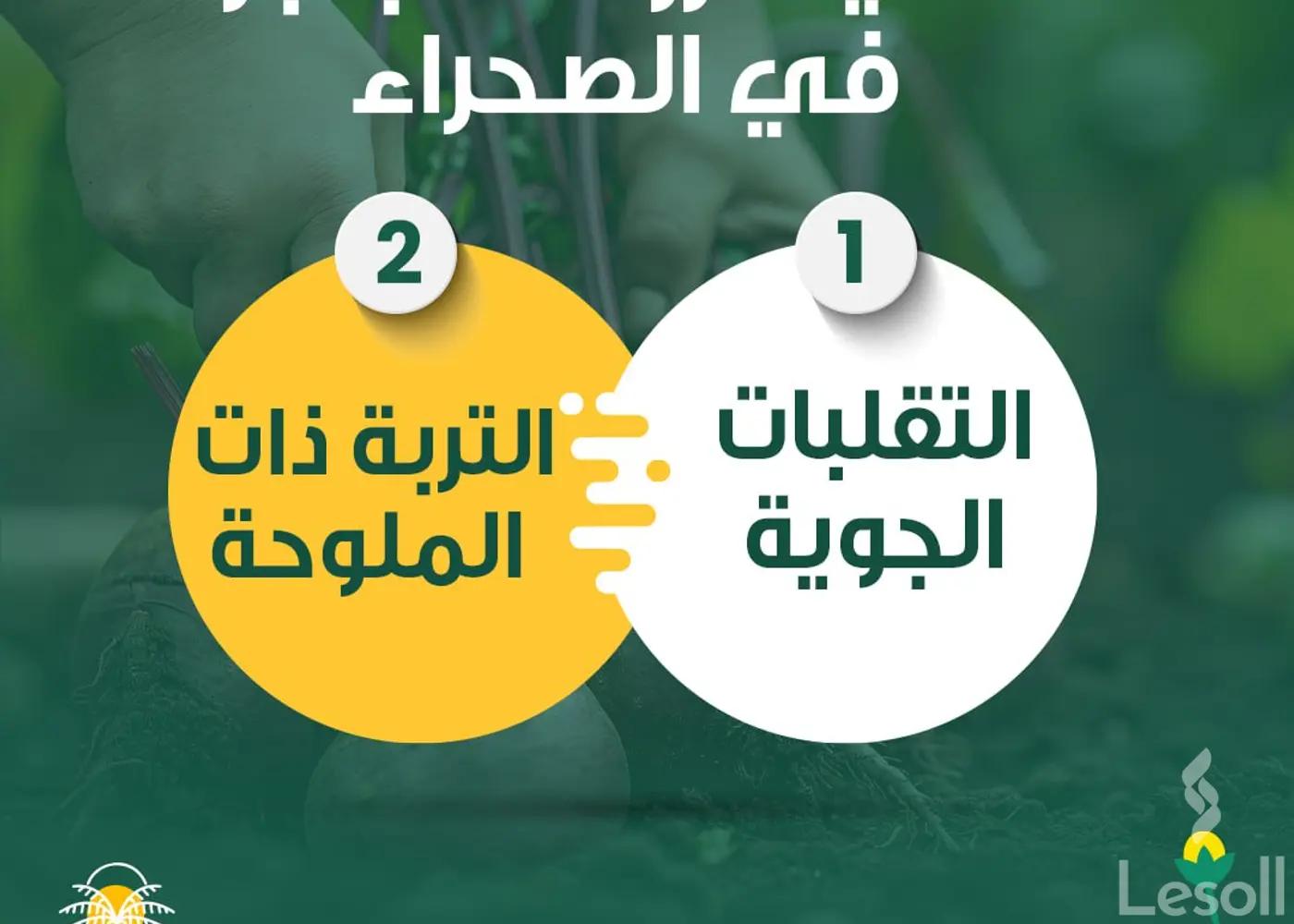 ارض زراعية للبيع بمساحة 5 متر في الواحات البحرية الجيزة