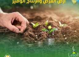 أراضي زراعية للبيع في الواحات البحرية