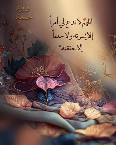 زيزو المالكي