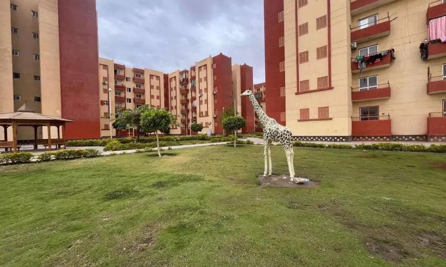 صورة مقالة: سكن لكل المصريين فرصة جديدة لامتلاك شقة في 17 مدينة جديدة اعرف امتى التقديم والشروط