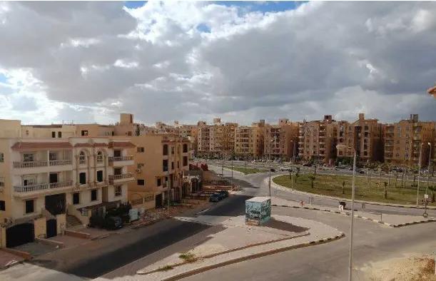 صورة مقالة: نصائح سهلة لزراعة نباتات تعطي ثماراً عطرة في البلكونة