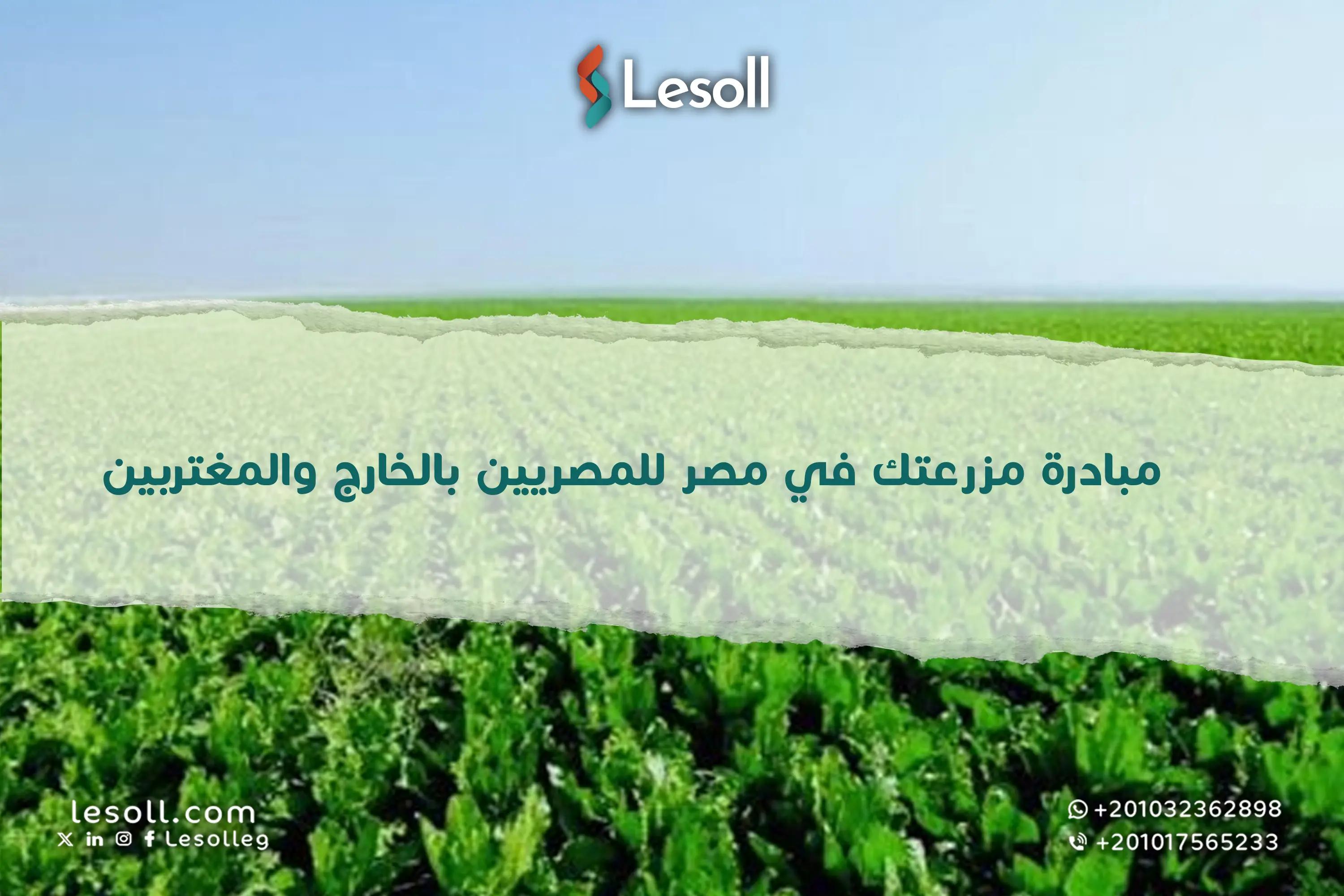 صورة مقالة: مبادرة مزرعتك في مصر للمصريين بالخارج والمغتربين.. تعرف على جميع التفاصيل