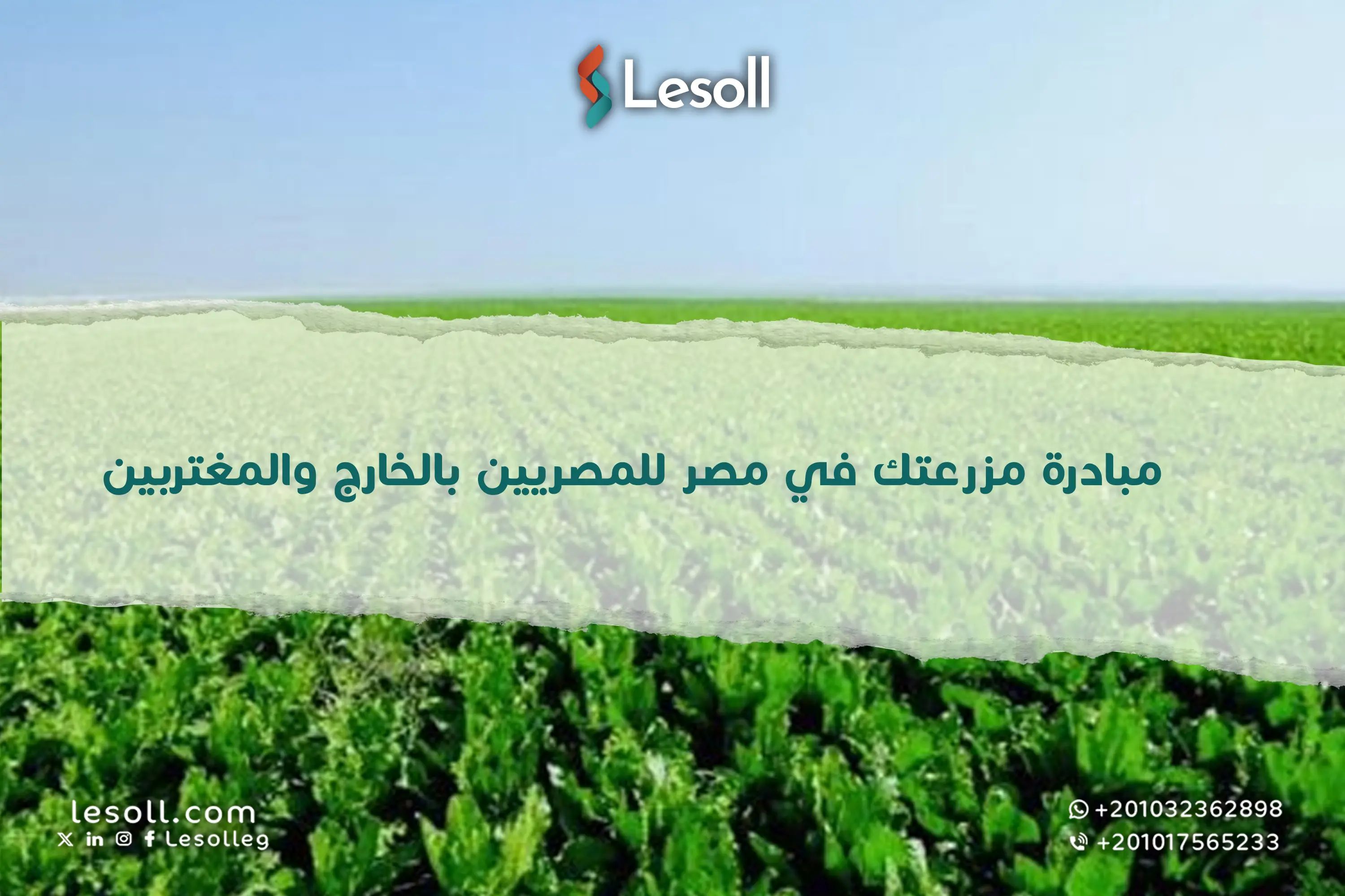 مبادرة مزرعتك في مصر للمصريين بالخارج والمغتربين.. تعرف على جميع التفاصيل