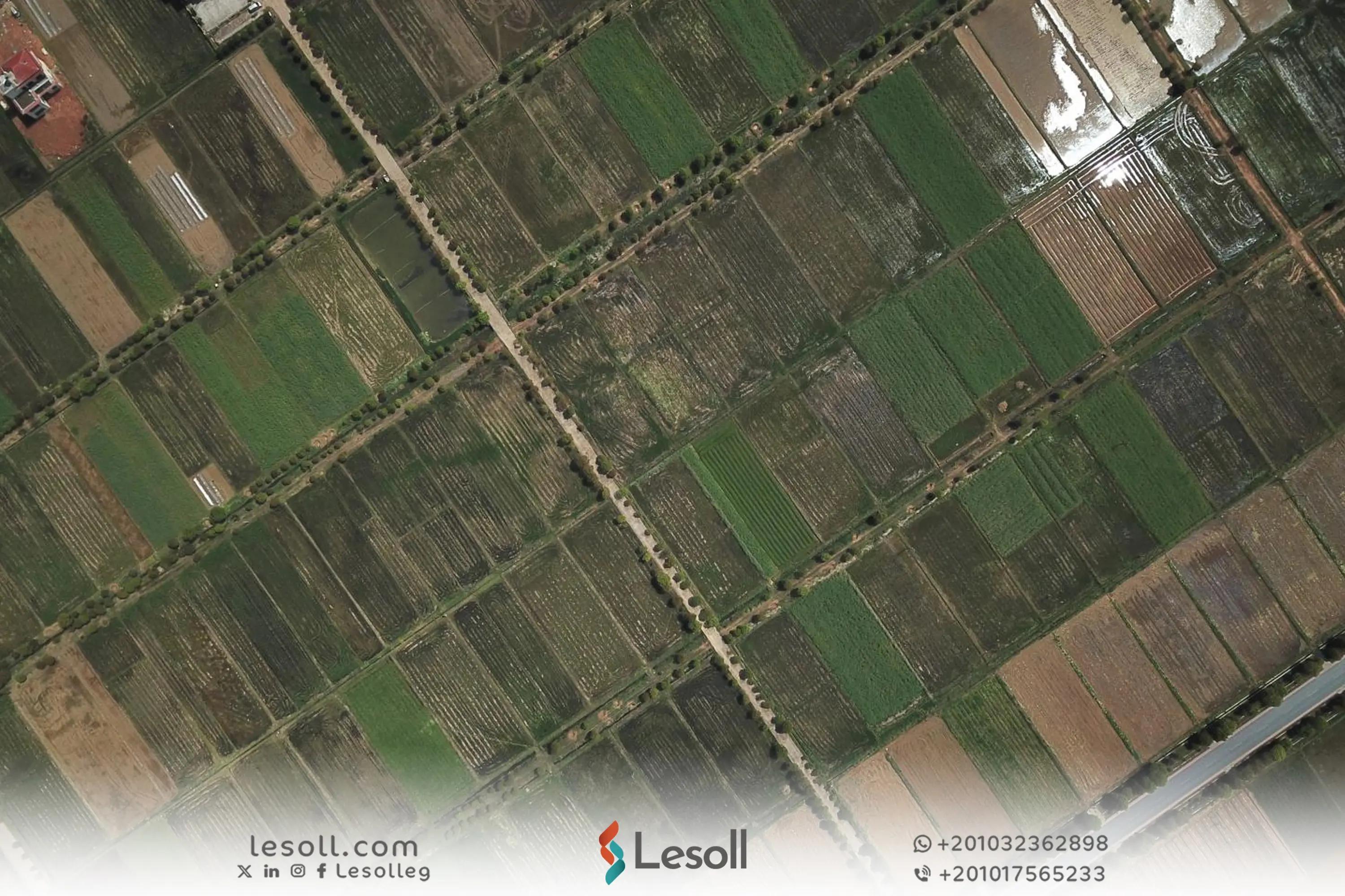 صورة مقالة: أراضي للبيع بأسعار مميزة – استثمار مضمون